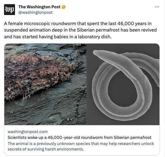 Screenshot 2023-07-28 at 7.21.14 AM